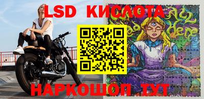 a pvp Будённовск