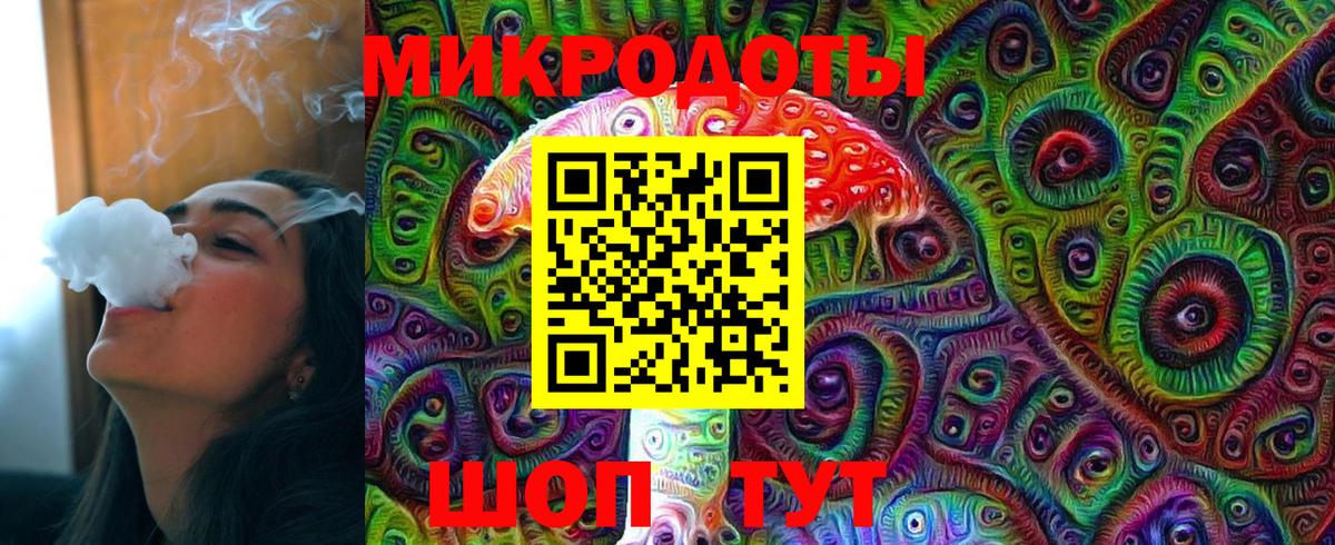 Галлюциногенные грибы Cubensis Сегежа