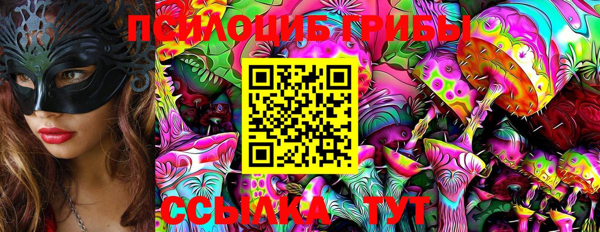 Галлюциногенные грибы ЛСД  Вход с VPN  Псилоцибиновые грибы мухоморы  где продают   Сегежа 