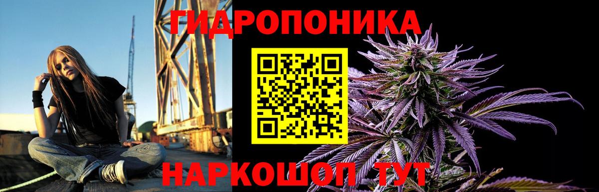 Псилоцибиновые грибы Сегежа
