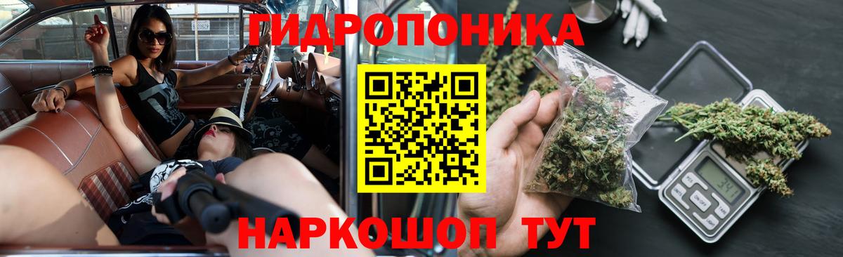 Бошки марихуана OG Kush Сегежа